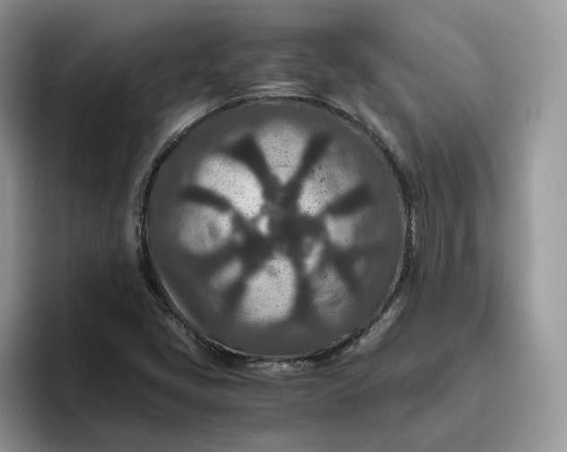X0000095941405200801251101