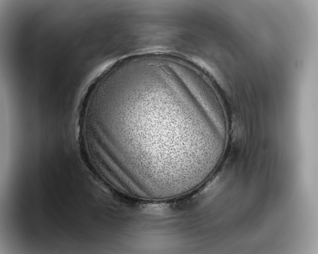 X0000095941406200801251101