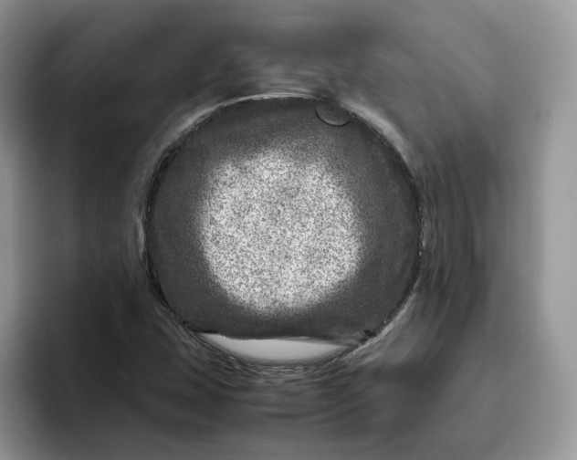 X0000095941407200801251101