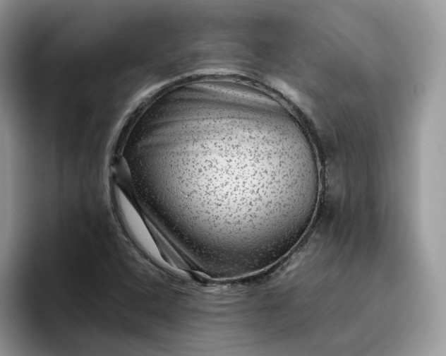 X0000095941408200801251101