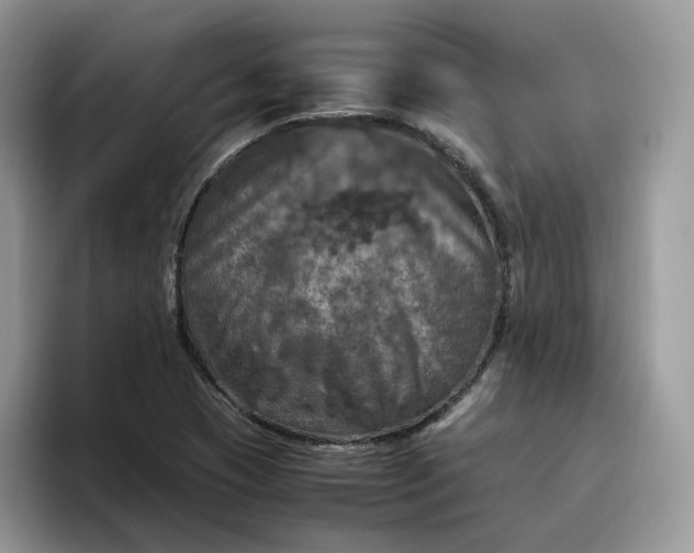 X0000095941409200801251101