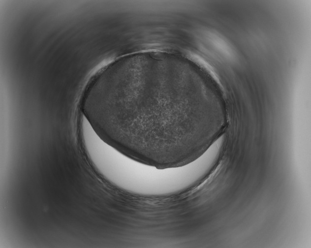 X0000095941411200801251101