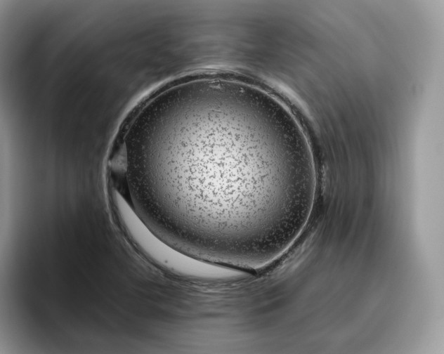 X0000095941412200801251101