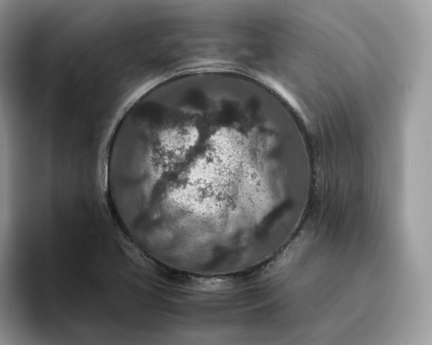 X0000095941413200801251101