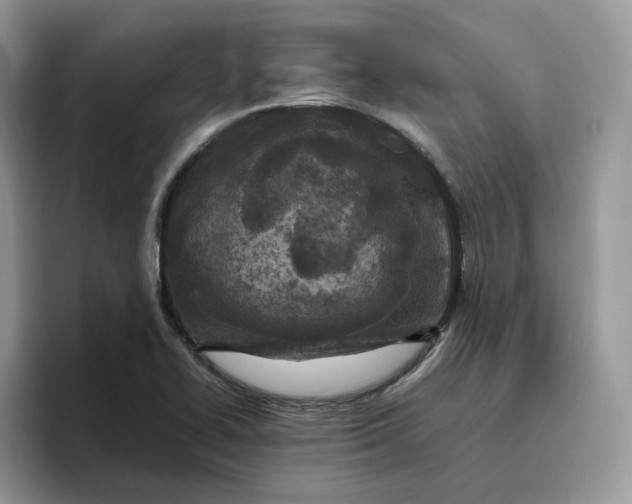 X0000095941414200801251101