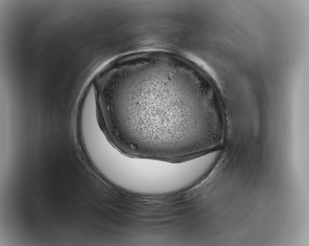 X0000095941415200801251101