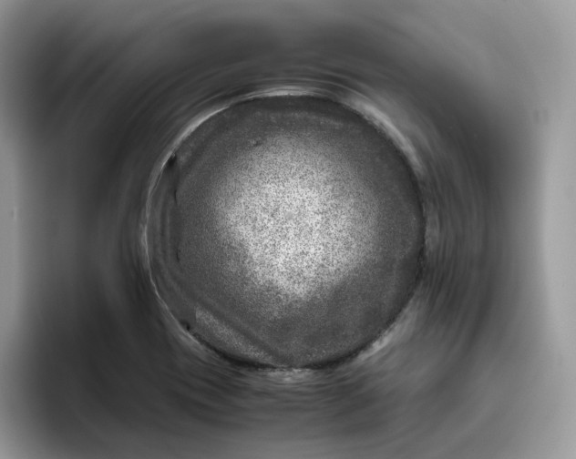 X0000095941417200801251101