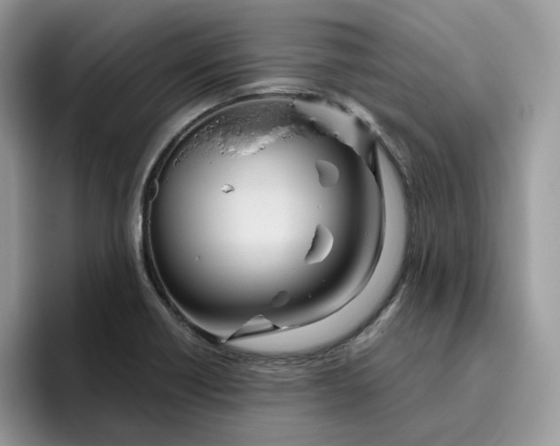 X0000095941418200801251101