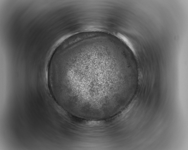 X0000095941419200801251101