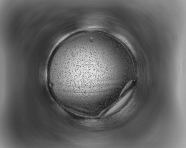 X0000095941420200801251101