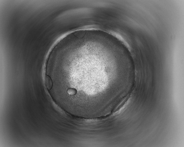 X0000095941421200801251101