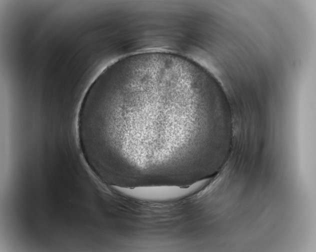 X0000095941423200801251101