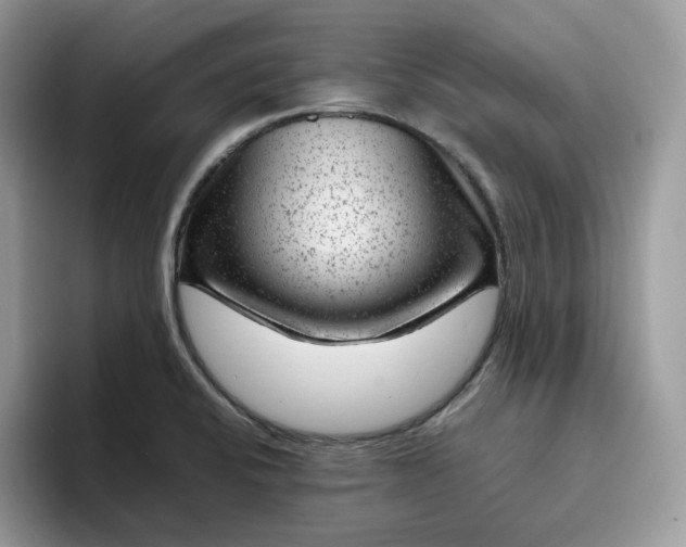 X0000095941424200801251101