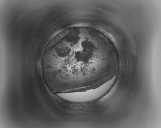 X0000095941425200801251101