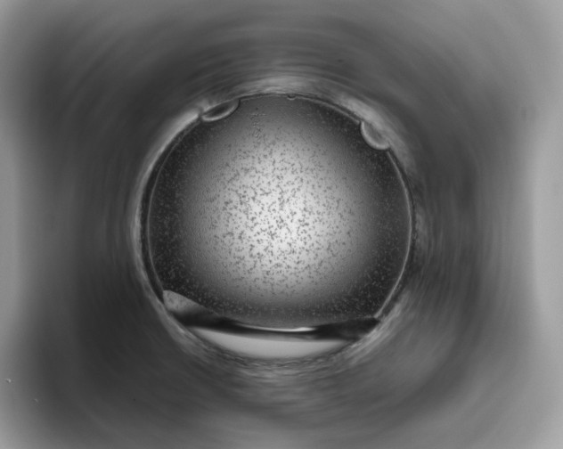 X0000095941426200801251101