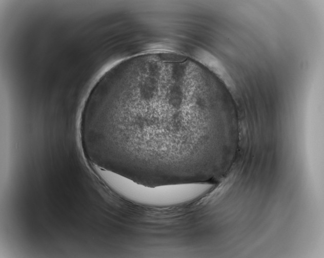 X0000095941427200801251101