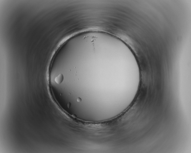 X0000095941428200801251101
