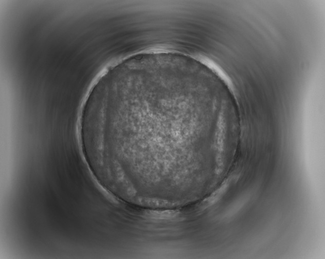 X0000095941429200801251101