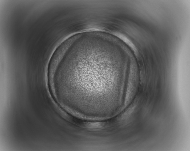 X0000095941431200801251101