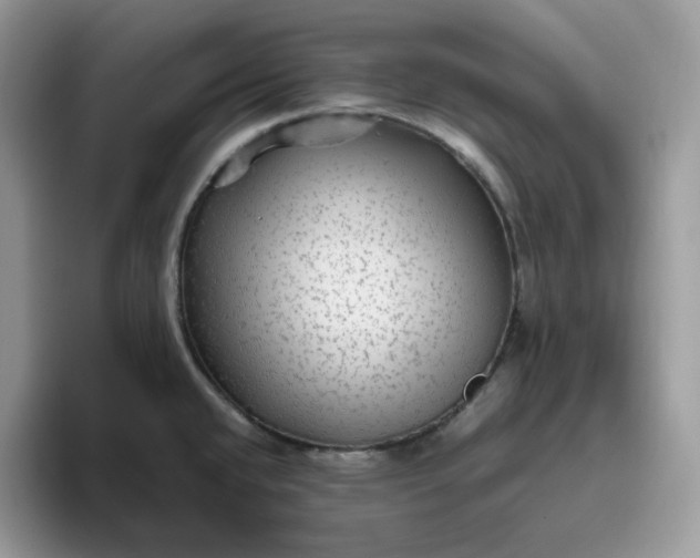 X0000095941432200801251101
