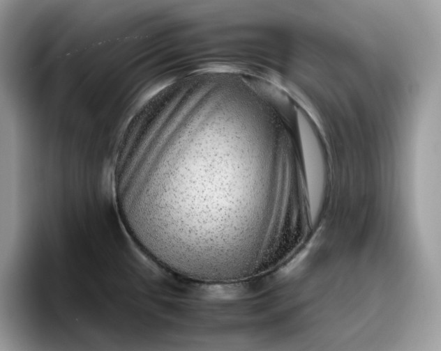 X0000095941433200801251101