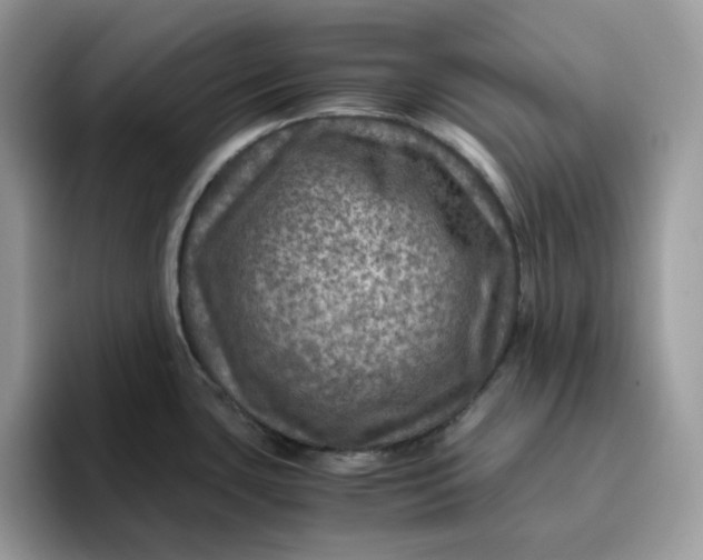 X0000095941435200801251101