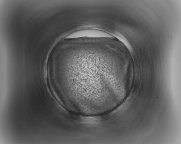 X0000095941436200801251101