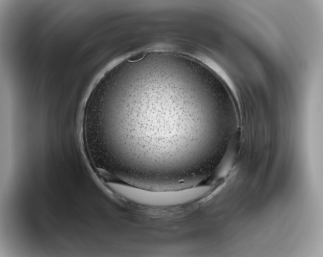 X0000095941437200801251101
