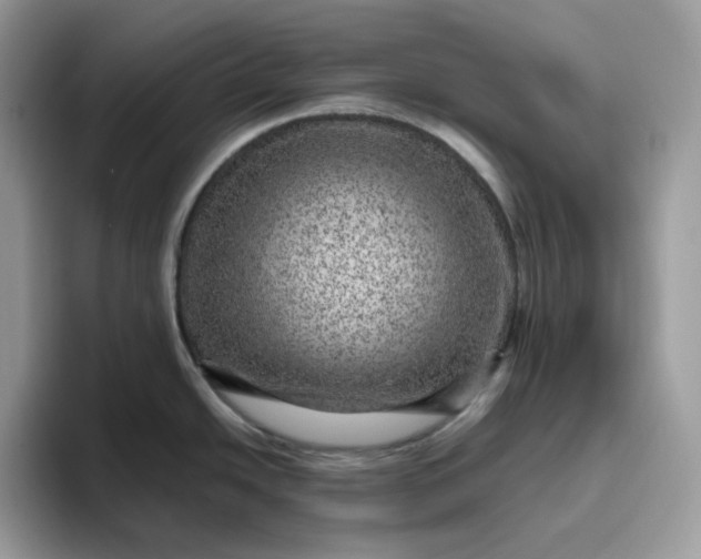 X0000095941438200801251101