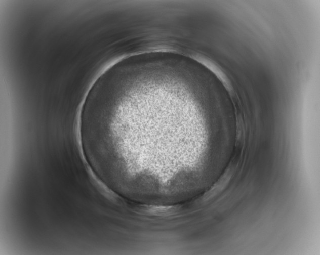 X0000095941439200801251101