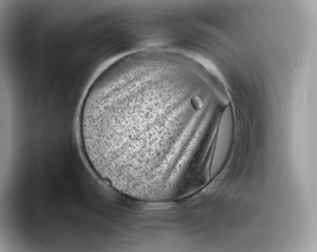 X0000095941440200801251101