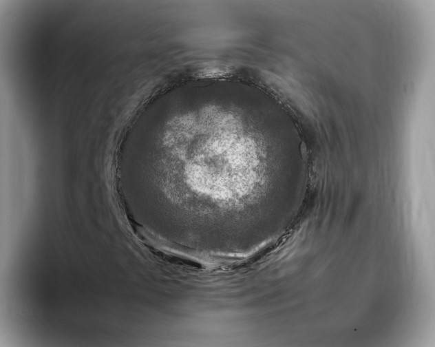 X0000095941441200801251100