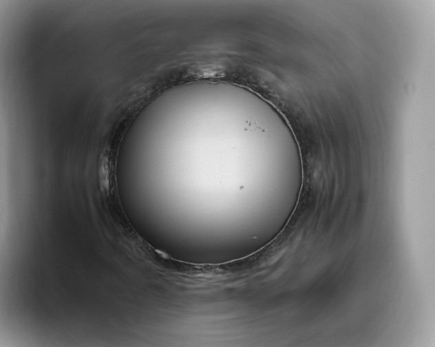 X0000095941442200801251100