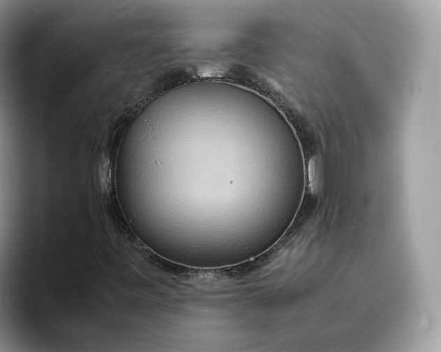X0000095941443200801251100
