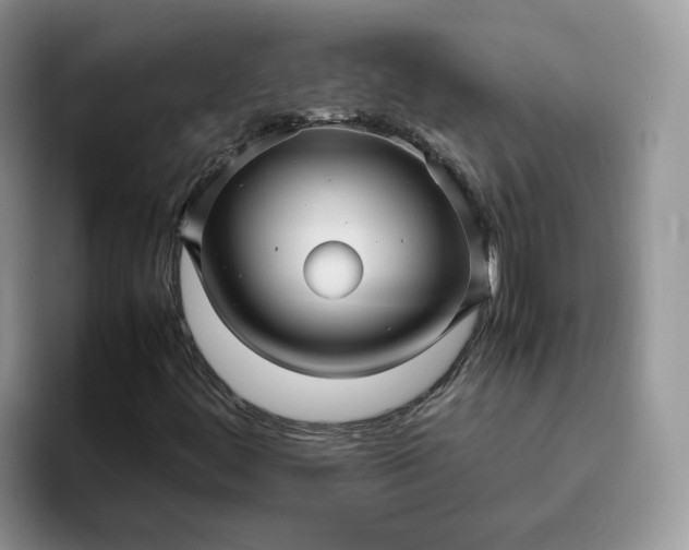 X0000095941444200801251100