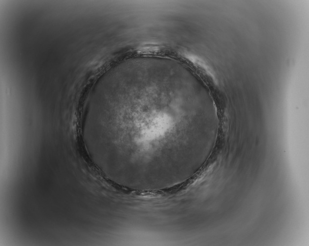 X0000095941445200801251100