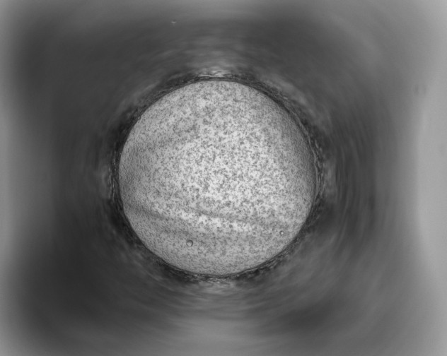 X0000095941446200801251100