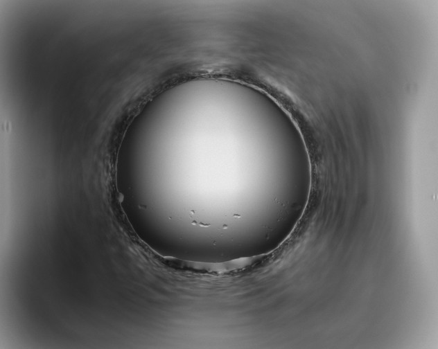 X0000095941447200801251100