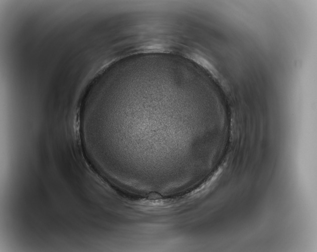 X0000095941450200801251100