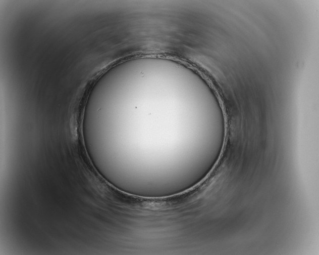 X0000095941451200801251100