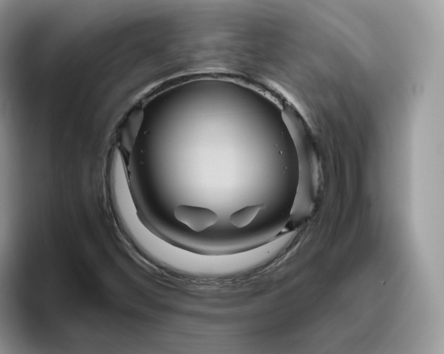 X0000095941452200801251100