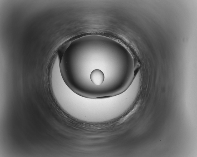 X0000095941453200801251100