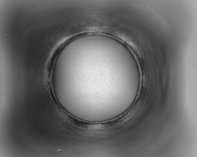 X0000095941454200801251100