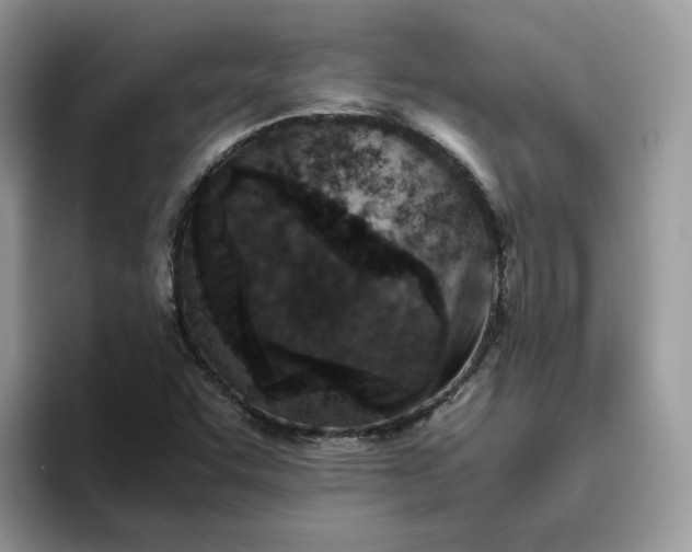 X0000095941455200801251100
