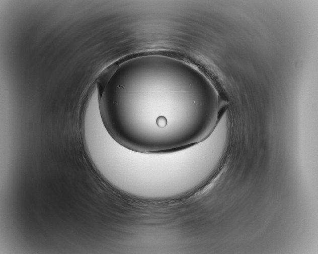 X0000095941457200801251100