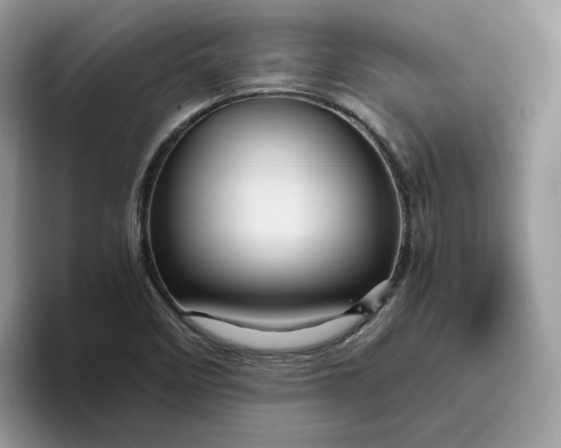 X0000095941458200801251100