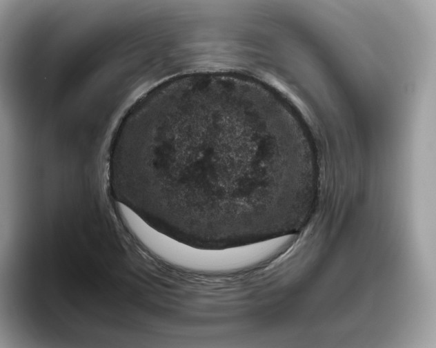 X0000095941459200801251100