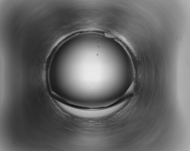 X0000095941460200801251100