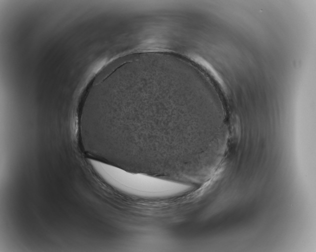 X0000095941461200801251100