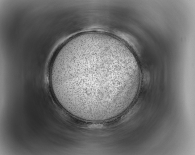 X0000095941462200801251100
